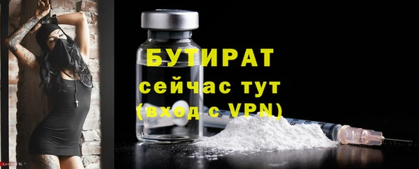 прущие грибы Новодвинск