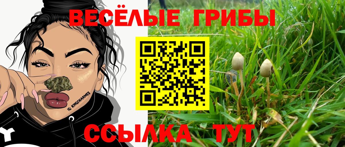 Псилоцибиновые грибы Psilocybine cubensis  Вход с VPN  Балаково 