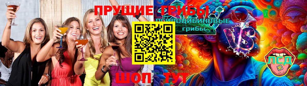 Псилоцибиновые грибы Cubensis Балаково